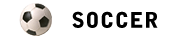Goalbusters FC plays in a Soccer league